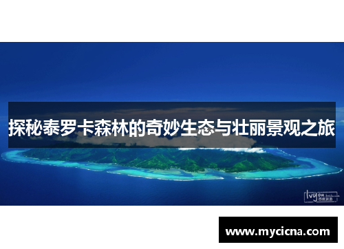 探秘泰罗卡森林的奇妙生态与壮丽景观之旅