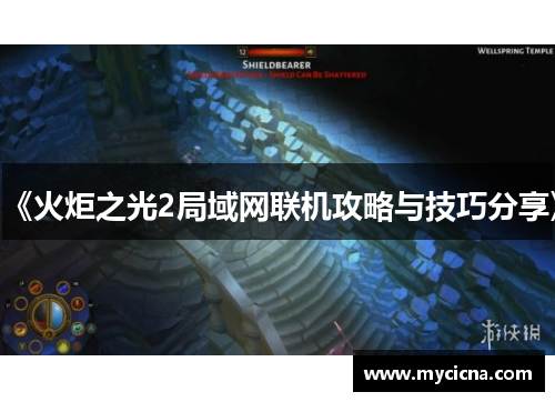《火炬之光2局域网联机攻略与技巧分享》